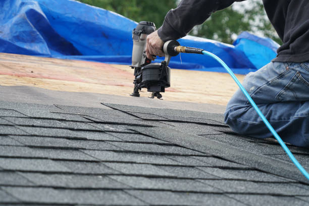 Fast & Reliable Emergency Roof Repairs in Leland Grove, IL